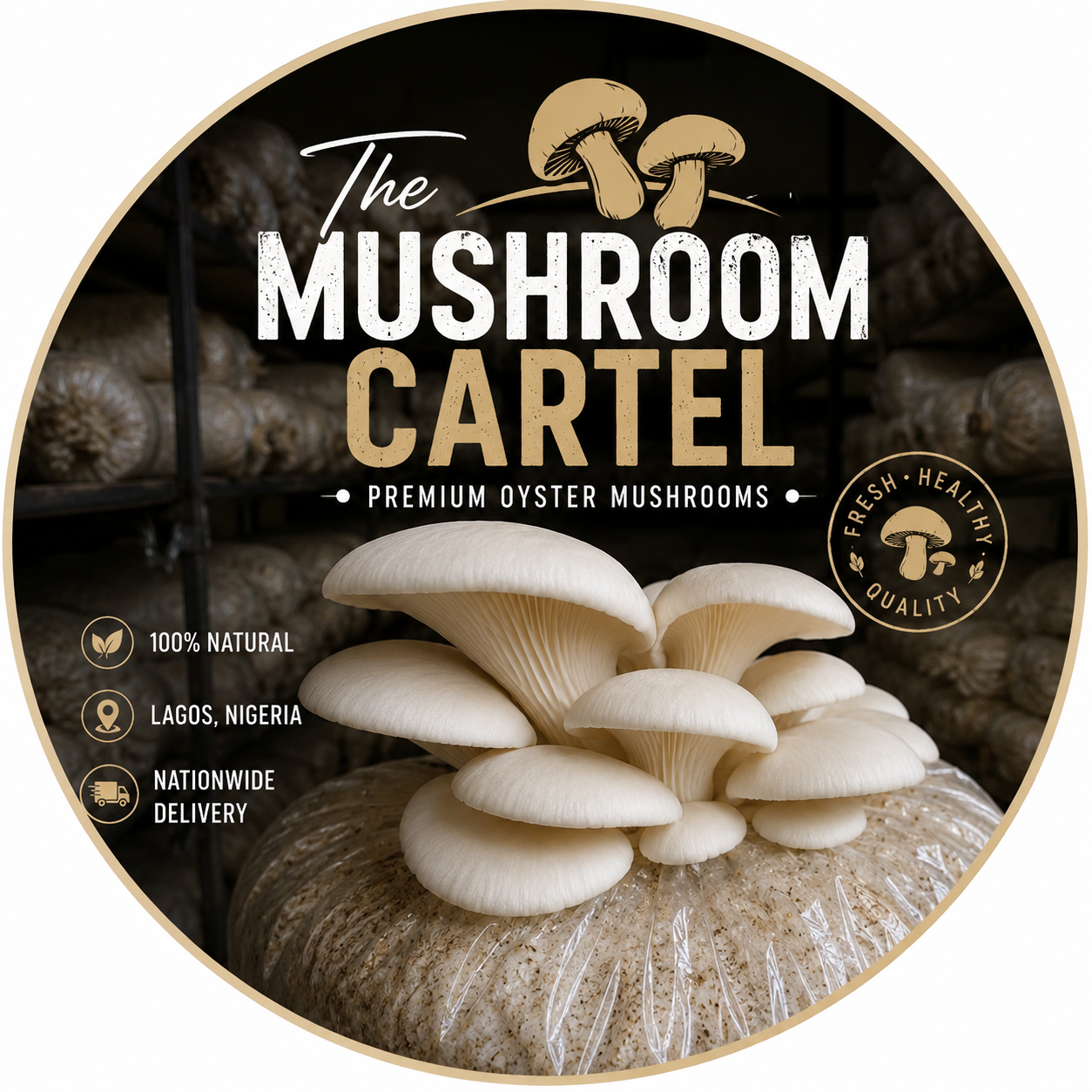 The Mushroom Cartel avatar