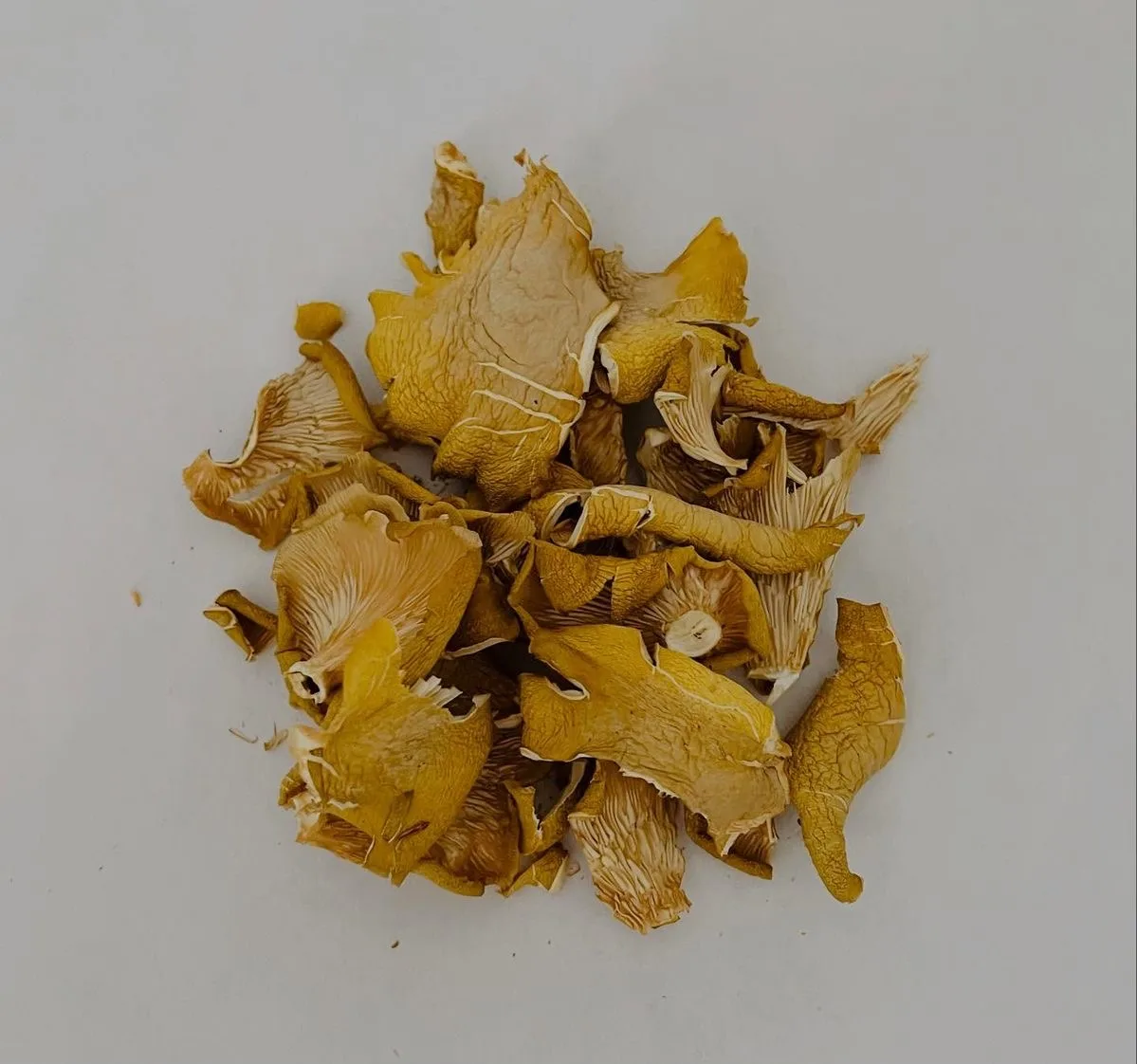 🍄 Farm-Fresh Dried Oyster Mushrooms
