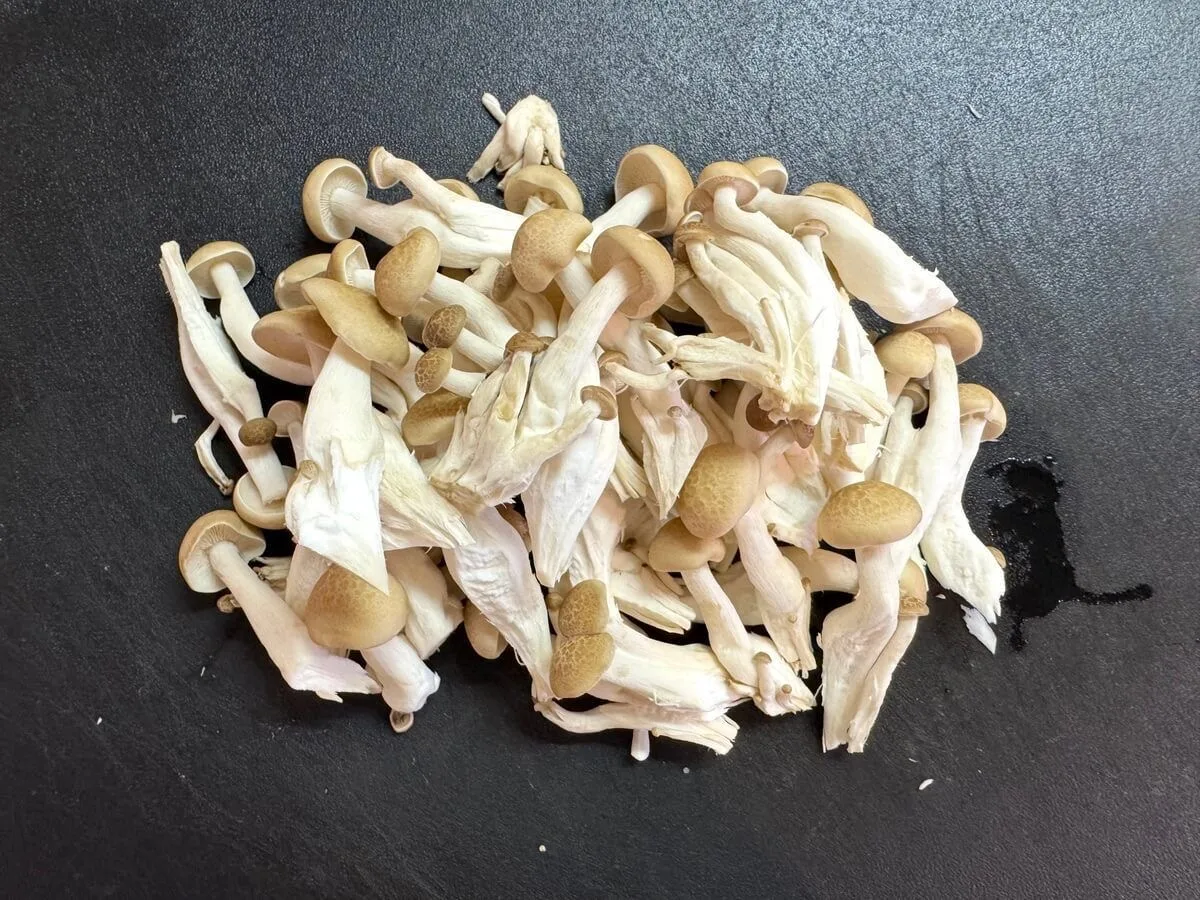 🍄 Farm-Fresh Dried Oyster Mushrooms