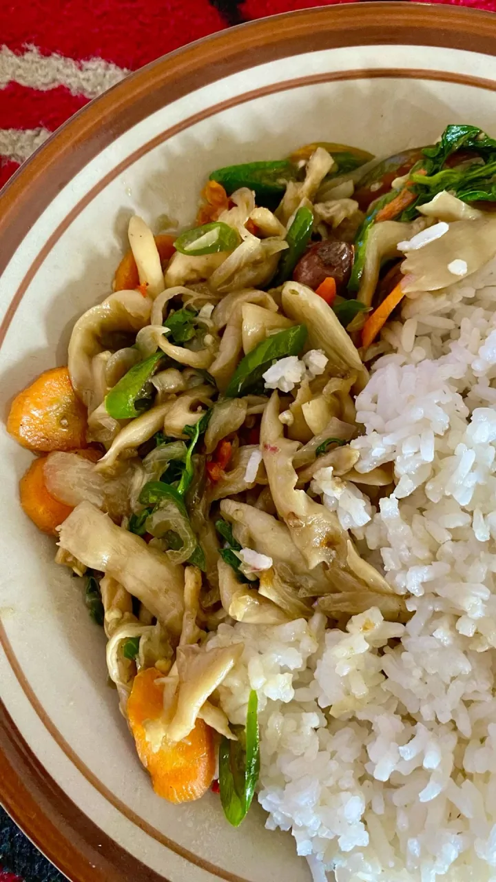 🍄 Freshly Prepared Mushroom Meals
